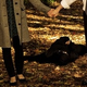 Image for article titled io9 Roundup: December 18, 2011